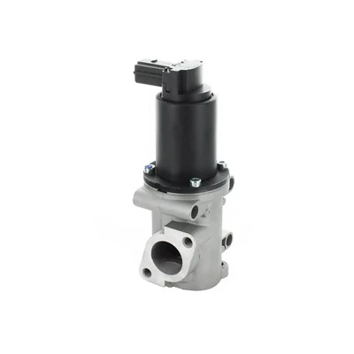 46530857 Diesel EGR Valve rau FIAT PIERBURG: 7.22946.33.0