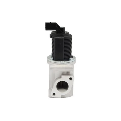 55204235 Automotive EGR Valve rau LNCIA PIERBURG: 7.22946.34.0